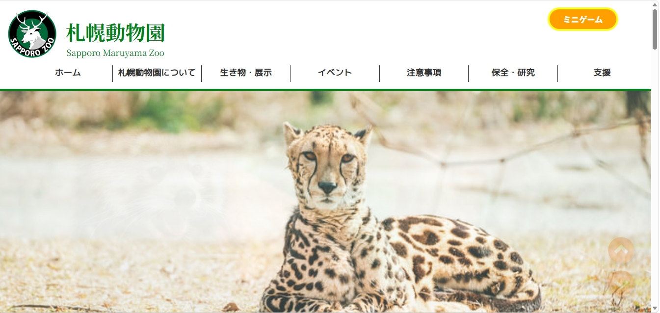 動物園サイトのサムネイル